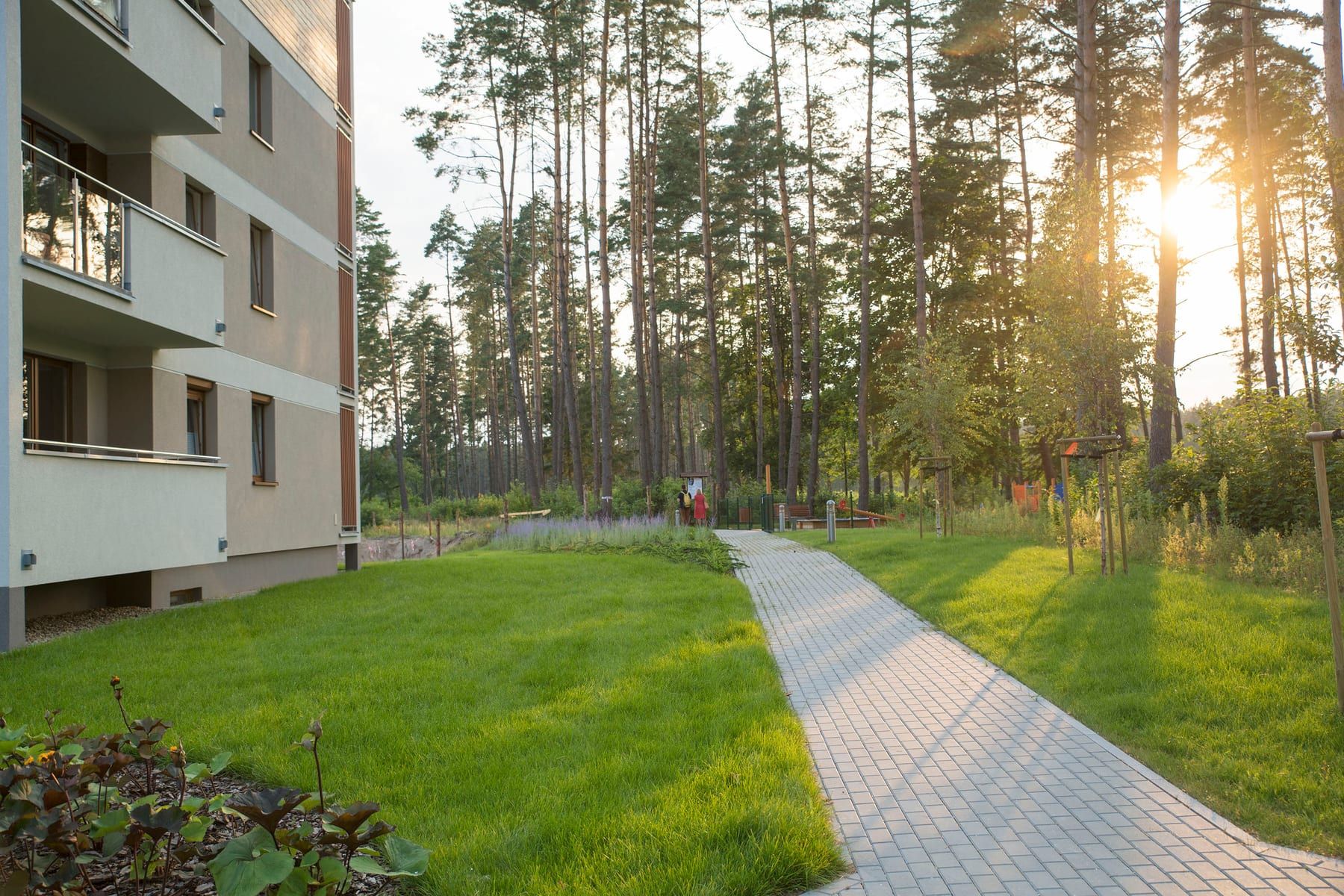Budynki pierwszych etapów Osiedla Sterowców wśród sosen, ścieżka prowadząca w las