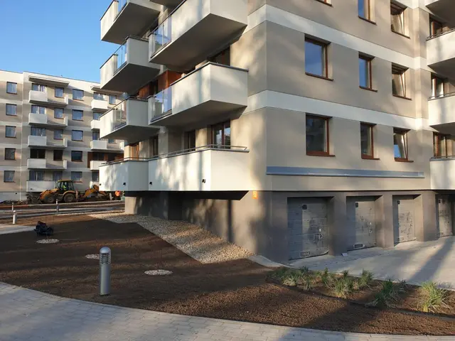 Budynek S9, 07.12.2020: Zagospodarowanie terenu zielenią wokół budynku.