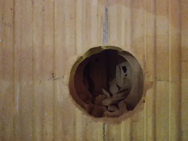 Budynek S18, 12.12.2022: Rozpoczęcie prac przygotowawczych do rozprowadzenia instalacji elektrycznych na parterze.