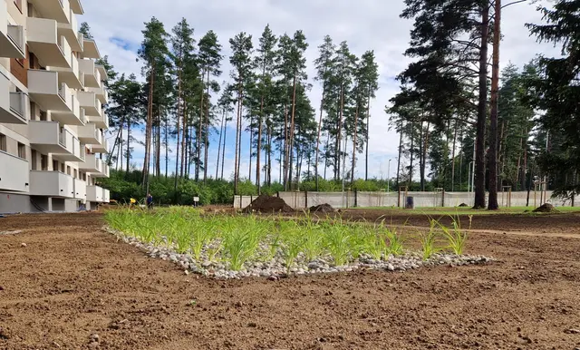 Budynek S18, 20.07.2023: Realizacja projektu zagospodarowania terenu wokół budynku.